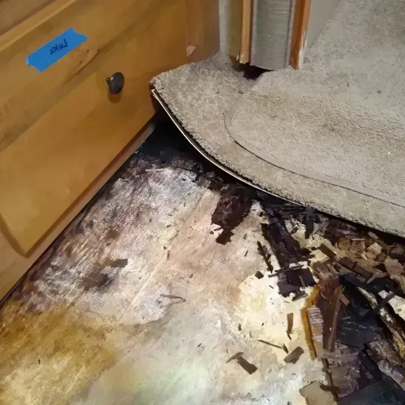 Wood Floor Water Damage in Lake Pleasant, NY